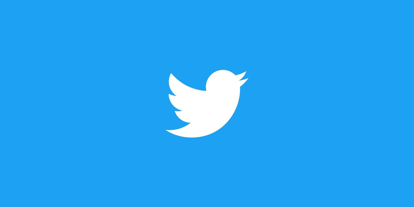 Twitter Logo and Branding